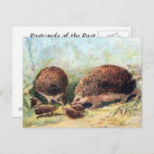 Ancienne carte postale - Hérisson (Devant / Derrière)