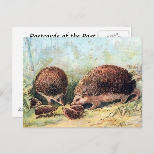 Ancienne carte postale - Hérisson (Devant / Derrière)