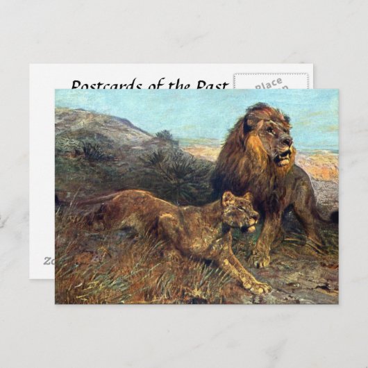 Ancienne carte postale - Lions (Devant / Derrière)