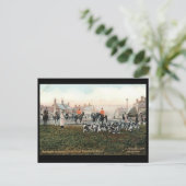 Ancienne Carte Postale - N Cotswolds Hounds, Broad (Debout devant)