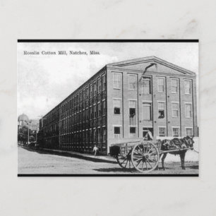 Ancienne carte postale - Natchez, Mississippi