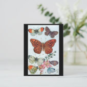 Ancienne carte postale - Papillons (Debout devant)