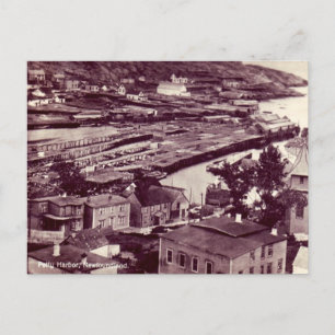 Ancienne carte postale - Petty Harbour, Terre-Neuv