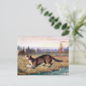 Ancienne carte postale - Pine Marten (Debout devant)