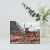 Ancienne carte postale - Red Deer (Debout devant)