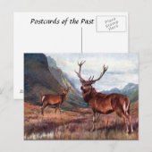 Ancienne carte postale - Red Deer (Devant / Derrière)