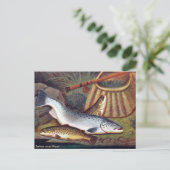 Ancienne carte postale - Saumon et truite (Debout devant)