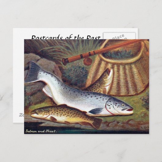 Ancienne carte postale - Saumon et truite (Devant / Derrière)