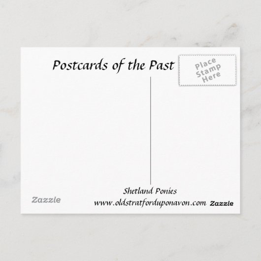 Ancienne carte postale - Shetland Ponies (Dos)