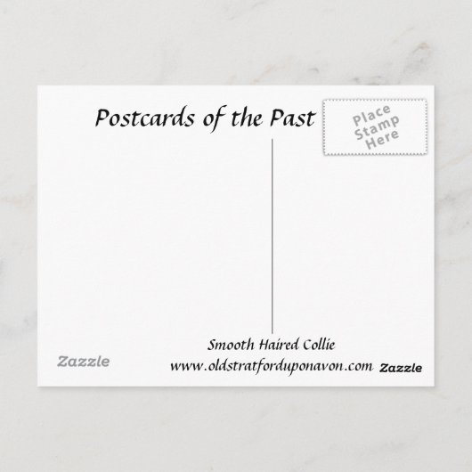 Ancienne carte postale - Smooth Haired Collie (Dos)