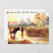 Ancienne carte postale - Soirée d'été (Devant / Derrière)