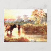 Ancienne carte postale - Soirée d'été (Devant)