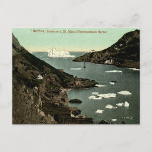 Ancienne carte postale - St John's (Terre-Neuve)