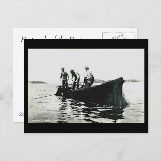 Ancienne carte postale - Terre-Neuve, pêche de la (Devant / Derrière)