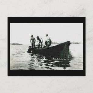 Ancienne carte postale - Terre-Neuve, pêche de la 