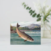 Ancienne carte postale - truite (Debout devant)