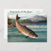 Ancienne carte postale - truite (Devant / Derrière)