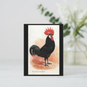 Ancienne Carte Postale - Un Coq Minorque Noir (Debout devant)
