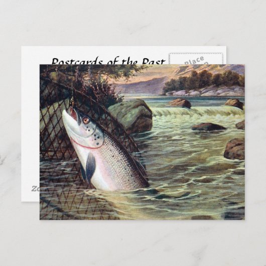 Ancienne carte postale - Un Saumon débarqué (Devant / Derrière)