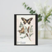 Ancienne carte postale - Vapeur (Debout devant)