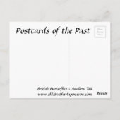 Ancienne carte postale - Vapeur (Dos)