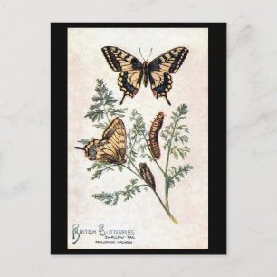 Ancienne carte postale - Vapeur