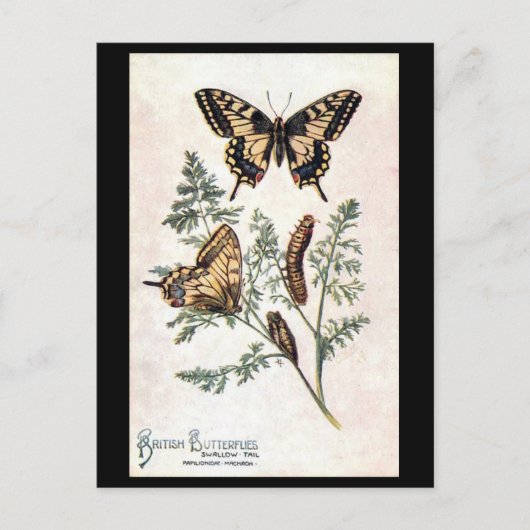 Ancienne carte postale - Vapeur (Devant)