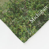 Ancienne couverture du phare de Presque Isle (Coin)