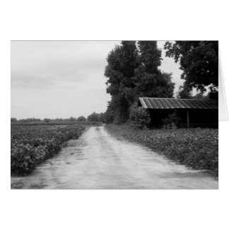 Ancienne grange d'immeuble en Caroline du Nord