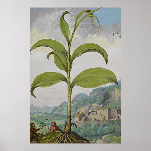 Ancient botanisch kunstzegel poster (Voorkant)