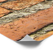 Ancient Brick Wall Poster (Hoek)