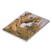 Ancient Bristlecone Forest, White Mountains, CA Notitieblok (Gedraaid)