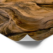 Ancient Bristlecone Forest, White Mountains, CA Poster (Hoek)