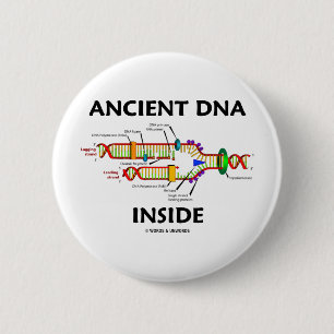 Ancient DNA Inside (DNA-replicatie-Humor) Ronde Button 5,7 Cm