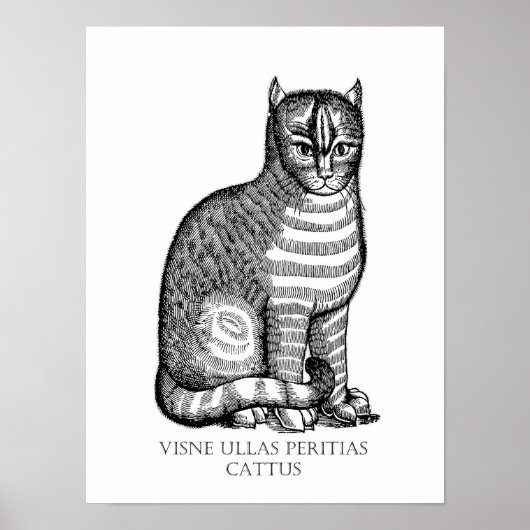 Ancient Fuzzy Cat Poster (Voorkant)