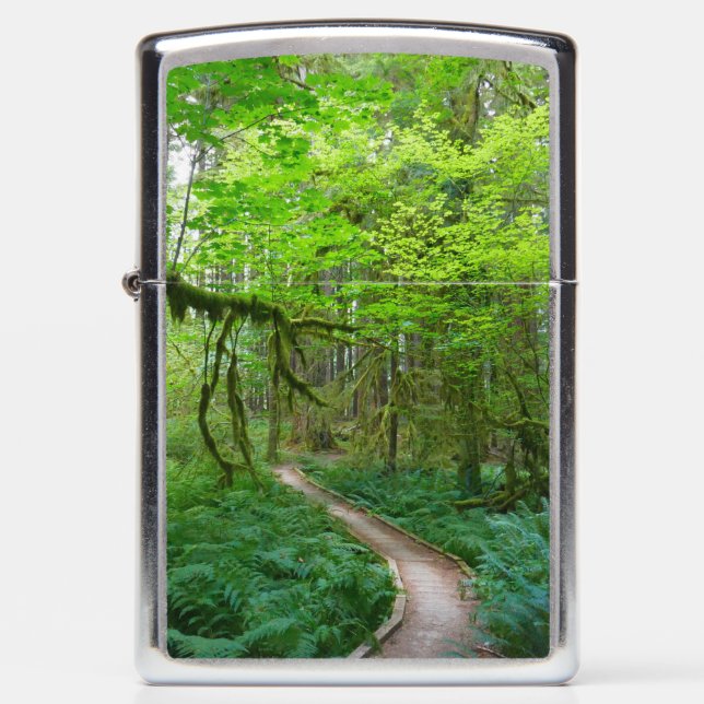 Ancient Groves Trail at Olympic National Park (Voorkant)