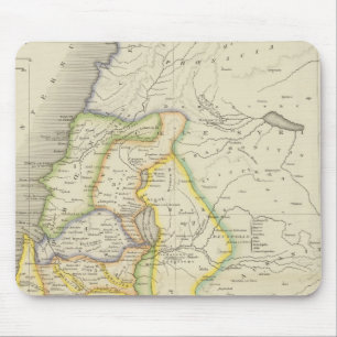 Ancient Palestine Muismat