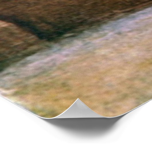 Ancient Roman Historic Architecture Poster (Hoek)