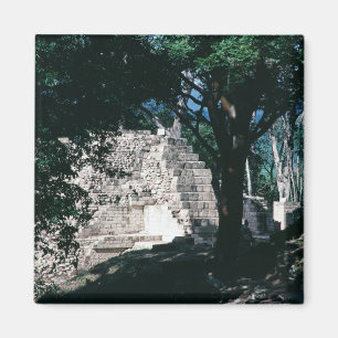 Ancient Ruins of Copan Honduras Mayan Culture Magneet