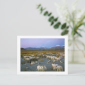 "Ancient Watermark" Briefkaart (Staand voorkant)