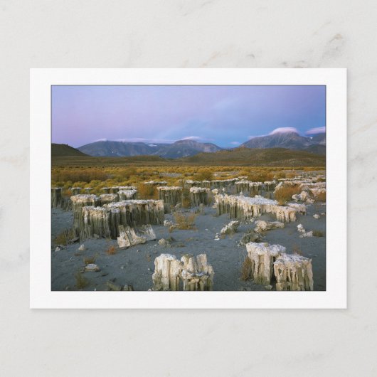 "Ancient Watermark" Briefkaart (Voorkant)