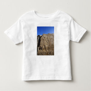Anciënte hiërogliefen op de muur, tempel van Karna Kinder Shirts