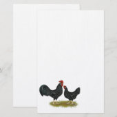Ancona Chickens Briefpapier (Voorkant / Achterkant)