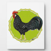 Ancona Rooster Fotoplaat (Voorkant)