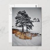 And Yet it Grows Briefkaart (Voorkant / Achterkant)