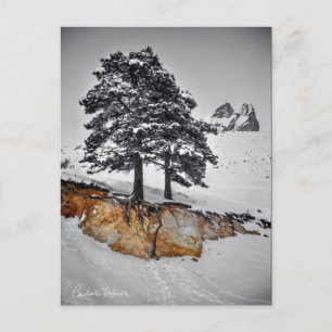 And Yet it Grows Briefkaart