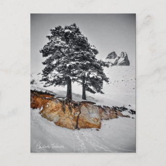 And Yet it Grows Briefkaart