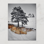 And Yet it Grows Briefkaart (Voorkant)