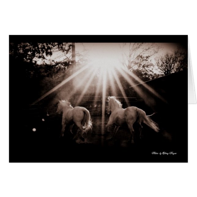 Andalou Run~ de ~Run (Devant horizontal)