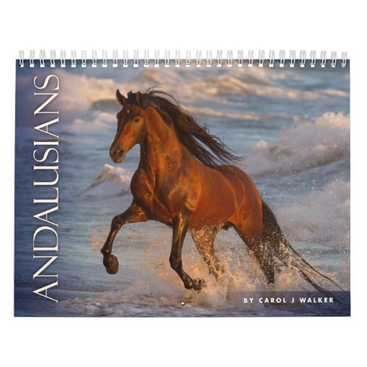 Andalousie par Carol J Walker Horse Calendrier (Protection)